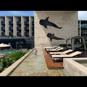 Meet your Posher, Gillian